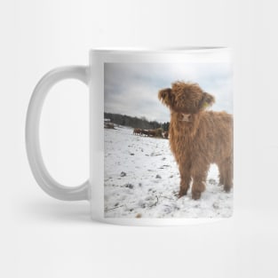 Scottish Highland Cattle Calf 1856 Mug